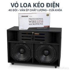 Vỏ loa kéo điện 40 đôi - 4 tấc đôi ngang, VLKCK420, cửa khóa
