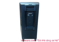 Loa Kéo Di Dộng Caliana WD15A, 800W, Bass 40cm, Micro Pin Sạc Chống Hú Tốt