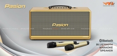 Loa Di Động Xách Tay PARAMAX PASION 2C, 400w