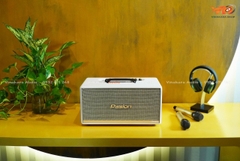 Loa Di Động Xách Tay PARAMAX PASION 2C, 400w