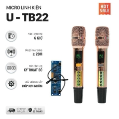 Micro kèm board cho loa kéo U-TB22