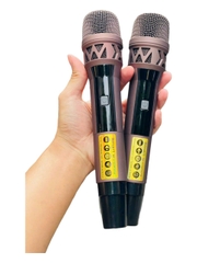 Loa kéo 4 tấc đôi, Bình Ắc quy xài mạch 19x38 , Công suất 900w