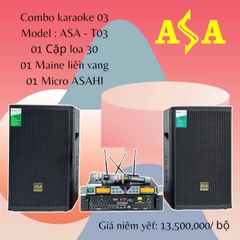 Combo giàn karaoke gia đình 3 tấc, Asa-T03