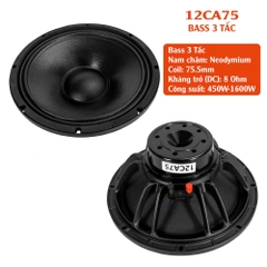 LOA BASS RỜI 3 TẤC TỪ NEO COIL 75, 12CA75, 450W