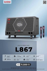 Loa kéo di động Lovina L867 bass đôi 30cm, Công suất 650W