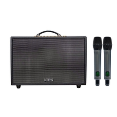 Loa xách tay Acnos CS3600 Gen 2, Bass 25cm ,Công suất RMS 200w