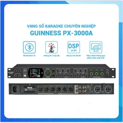 Vang số GUINNESS PX - 3000A , Chỉnh bằng phần mềm