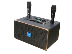 Loa xách tay Azpro D336, 300W, 2 Micro UHF ca nhẹ