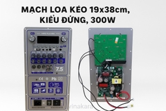 Mạch loa kéo 19x38 kiểu đứng công suất 300w