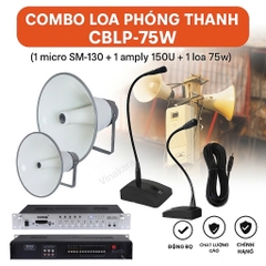 Combo Loa Phóng Thanh ADX 75W, CBLP-75W