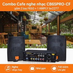 Combo cafe nghe nhạc CB65PRO-CF, 300w
