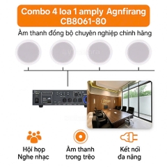 Loa âm trần và amply ,hàng chính hãng Arirang