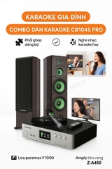 Bộ Dàn Karaoke Gia Đình Paramax CB1045 Pro – Giải Pháp Âm Thanh Chuẩn Mực Cho Gia Đình Hiện Đại