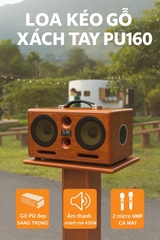 Loa kéo xách tay 2 Bass 16 – 2 Treble, xài mạch K18, PU160