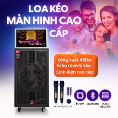 LOA KÉO DI ĐỘNG LOVINA KÈM MÀN HÌNH BASS 40, 20INCH, L-115MH