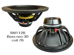 Loa bass rời 30 từ neo coil 76, SM112B