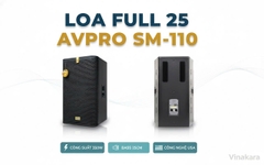 Loa Full 25 AVPRO SM-110, bass 25cm, 350w, USA
