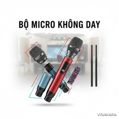 Micro kèm Board mạch cho loa kéo, ADX T22