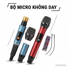 Micro kèm Board mạch cho loa kéo, ADX T22