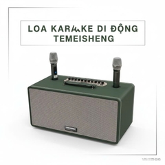 Loa kéo di động Temeisheng TMS-8018, 2 bass 20cm, 2 micro