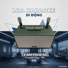 Loa kéo di động Temeisheng TMS-8018, 2 bass 20cm, 2 micro