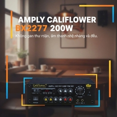 Amply mini DC12V BX 2277 BLUETOOTH