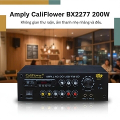 Amply mini DC12V BX 2277 BLUETOOTH