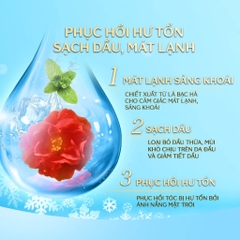 Bộ Gội Xả Sạch Dầu Mát Lạnh Tsubaki Premium Cool (Set 490ml x 2)