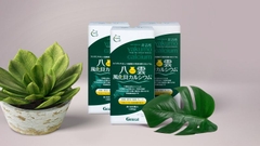 Canxi thiên nhiên phong hóa sò Yakumo 300g-1500v (đã phân loại) - Hàng Nhật nội địa