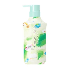 Bộ dầu gội xả Kracie Ichikami bản giới hạn chiết xuất thảo dược và bạc hà 450ml + 450g dùng cho mùa hè - Hàng Nhật nội địa