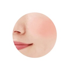 Phấn má hồng Cezanne Natural Cheek hộp 4g kèm cọ ( màu 10 hồng cam ) - Hàng Nhật nội địa