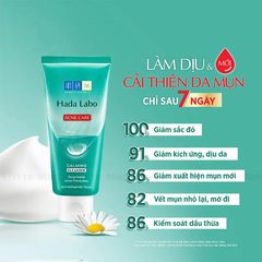 Sữa Rửa Mặt Hada Labo Dạng Kem Cho Da Mụn Và Da Nhạy Cảm 80g
