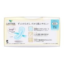 Băng vệ sinh Laurier Kao siêu mỏng không cánh 22,5cm gói 20 miếng - Hàng Nhật nội địa