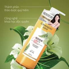 Dầu gội ngăn ngừa tóc gãy rụng Chando Anti-Breakage & Strengtheing 600ml (Chando) - Hàng Nhật nội địa