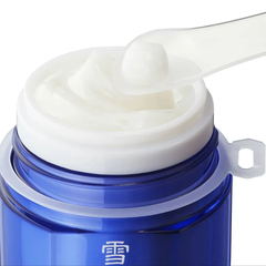 Mặt nạ ngủ đa năng cấp ẩm sâu và làm sáng da Sekkisei Brightening Herbal Multi gel cream 80g (tặng lotion 24ml) - Hàng Nhật chính hãng