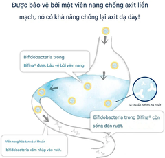 Bột men vi sinh sống HealthAid Bifina R 20 gói - Hàng Nhật nội địa