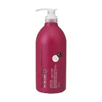 Dầu gội phục hồi tóc hư tổn Nhật Bản Salon Link Amino hoa trà Tsubaki 1L - Hàng Nhật nội địa