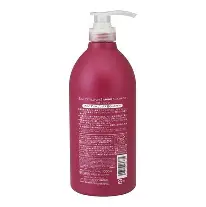 Dầu gội phục hồi tóc hư tổn Nhật Bản Salon Link Amino hoa trà Tsubaki 1L - Hàng Nhật nội địa