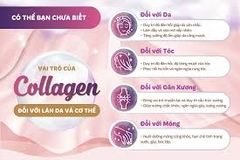 Nước uống làm đẹp da S Select Collagen Drink (Hộp 10 lọ) - Hàng Nhật nội địa