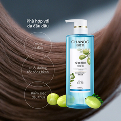 Dầu Gội Đầu Kiểm Soát Dầu, Làm Phồng Tóc Chando Himalaya Oil Control & Volumizing 600ml - Hàng Nhật nội địa