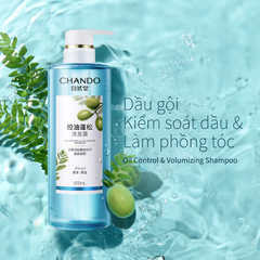 Dầu Gội Đầu Kiểm Soát Dầu, Làm Phồng Tóc Chando Himalaya Oil Control & Volumizing 600ml - Hàng Nhật nội địa