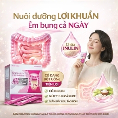 Bột uống men lợi khuẩn Inulin hỗ trợ đường ruột, tiêu hóa INTESTINES BEAUTY QUEEN NICHIEI BUSSAN 30 gói - Hàng Nhật chính hãng