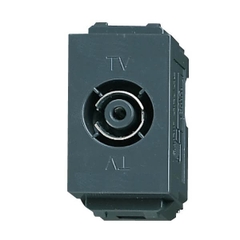 Ổ cắm WEV2501H