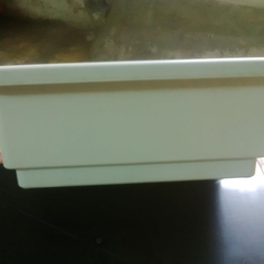 Khay nhựa trồng rau | Khay trồng rau giá rẻ hàng tốt, dày, nặng