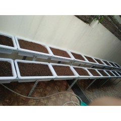 Kệ trồng rau bậc thang | Trồng rau sạch tại nhà | Nông nghiệp hữu cơ