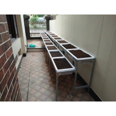 Kệ trồng rau bậc thang | Trồng rau sạch tại nhà | Nông nghiệp hữu cơ