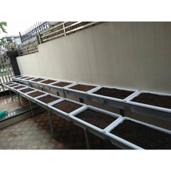 Kệ trồng rau bậc thang | Trồng rau sạch tại nhà | Nông nghiệp hữu cơ