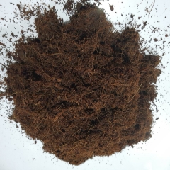 Mụn dừa Hà Nội | Xơ dừa Hà Nội - Giá cực rẻ, đã xử lý, sử dụng ngay