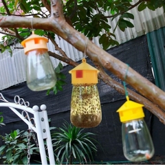 Đèn bẫy ruồi vàng - Vô cùng hiệu quả để bảo vệ mùa màng