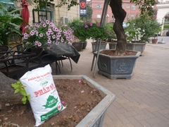 Bán Phân Bò Khô (Phân Bò Đã Qua Xử Lý) Số Lượng Lớn Giá Rẻ.